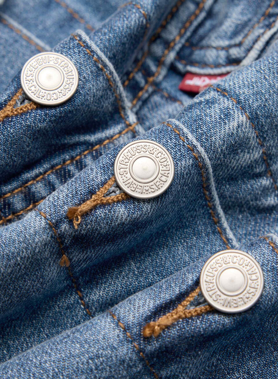 levis shrunken 90-tals truckerjacka cool city whip
